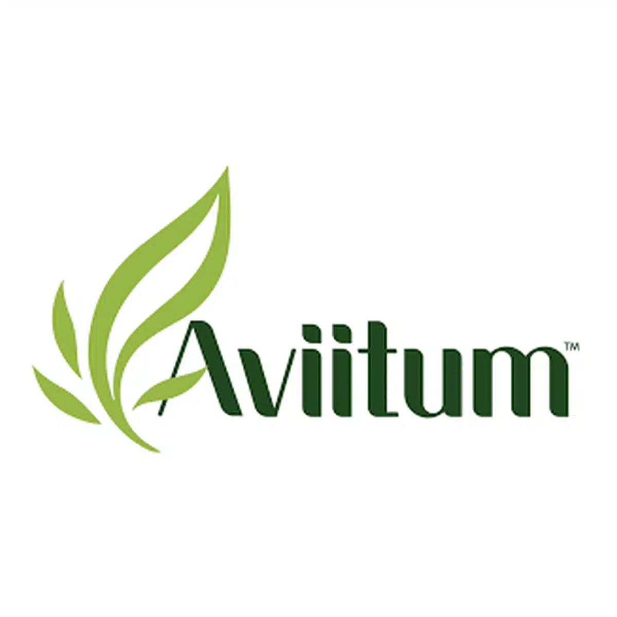 aviitum